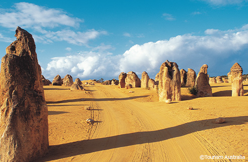 「荒野の墓標」とも呼ばれる砂漠「ピナクルズ」。何千もの岩の塔が並ぶ。