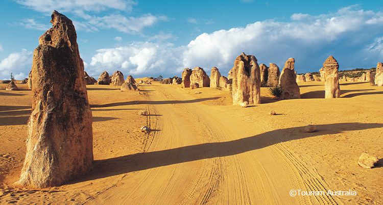 「荒野の墓標」とも呼ばれる砂漠「ピナクルズ」。何千もの岩の塔が並ぶ。