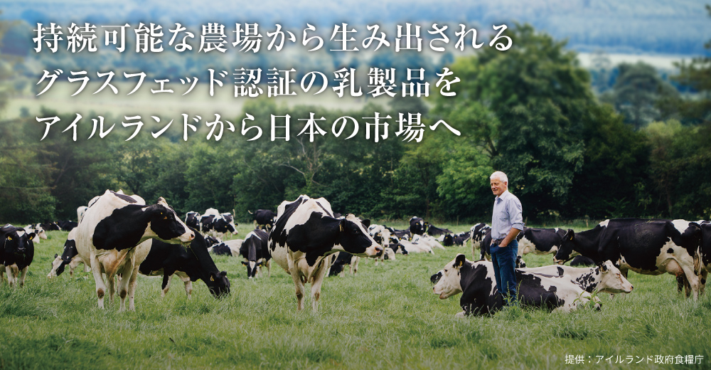 持続可能な農場から生み出されるグラスフェッド認証の乳製品をアイルランドから日本の市場へ