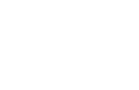 NIKKEI NET 0