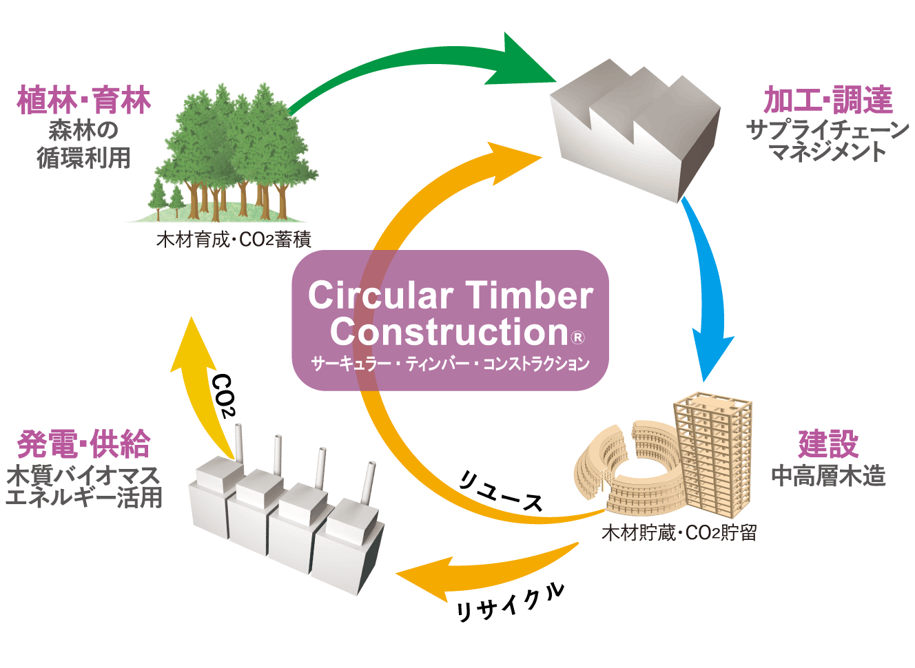 Circular Timber Construction概念図