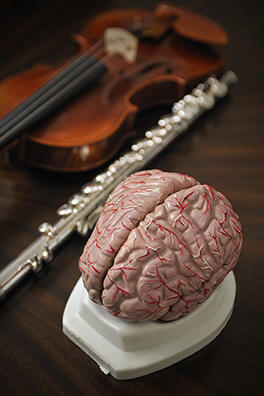 音楽教室に通うことでもっと脳は目覚める！