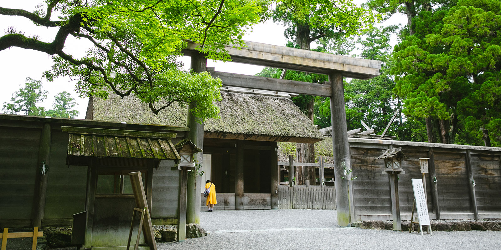 People travel from across Japan to worship at the shrine | Keisuke Tanigawa
