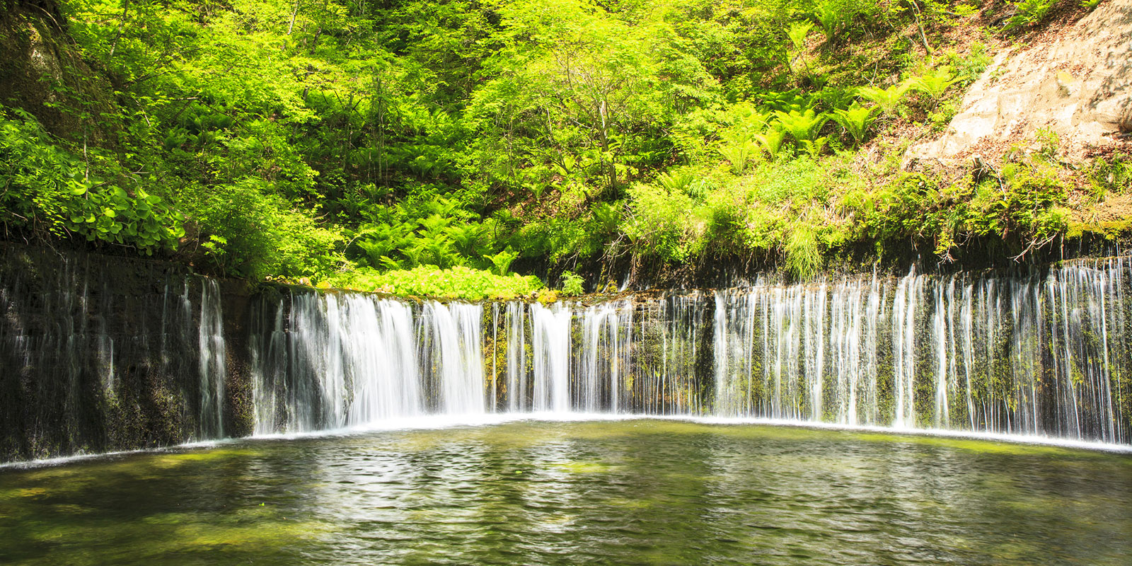 Shiraito Waterfall | Norikazu/Dreamstime