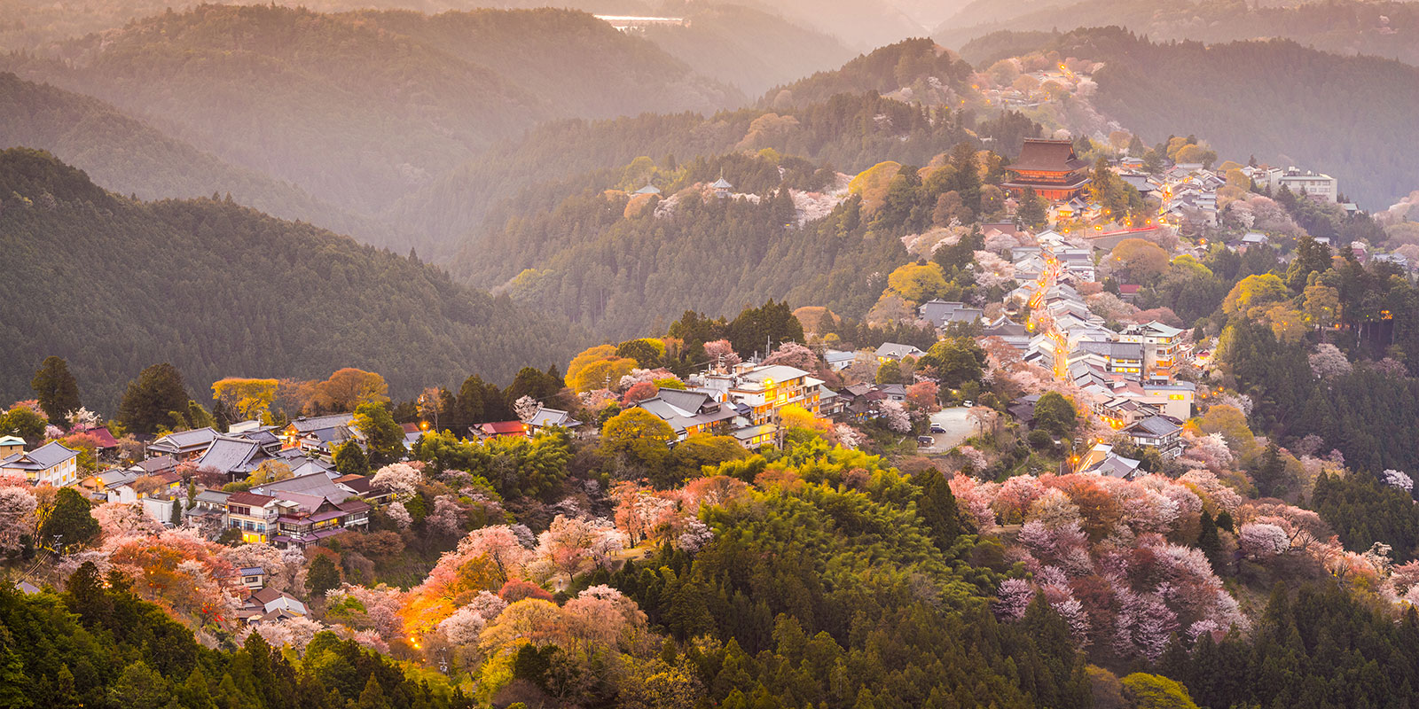 Mt Yoshino | Shutterstock